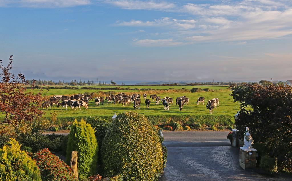 Newtown Farm Country House Ardmore  Buitenkant foto