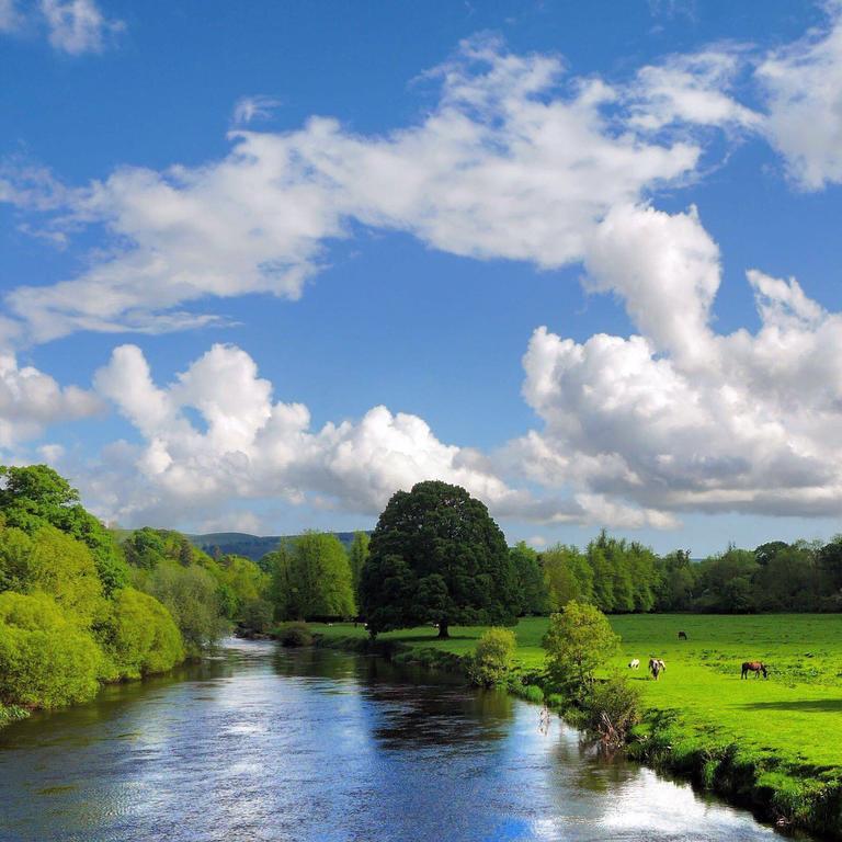 Newtown Farm Country House Ardmore  Buitenkant foto