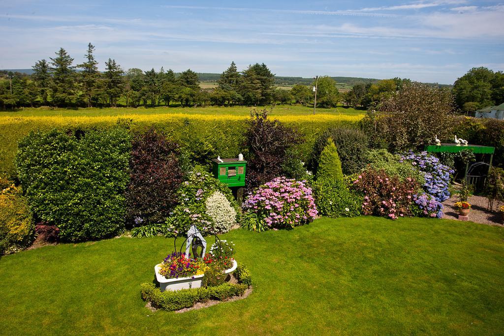 Newtown Farm Country House Ardmore  Buitenkant foto
